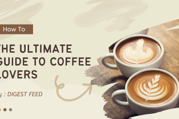 The Ultimate Guide to Coffee Lovers