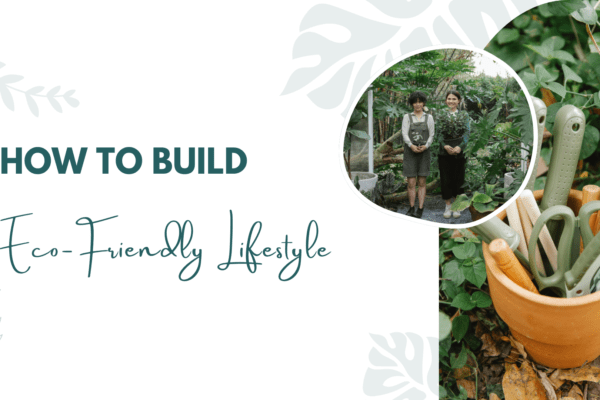 How to Build an Eco-Friendly Lifestyle