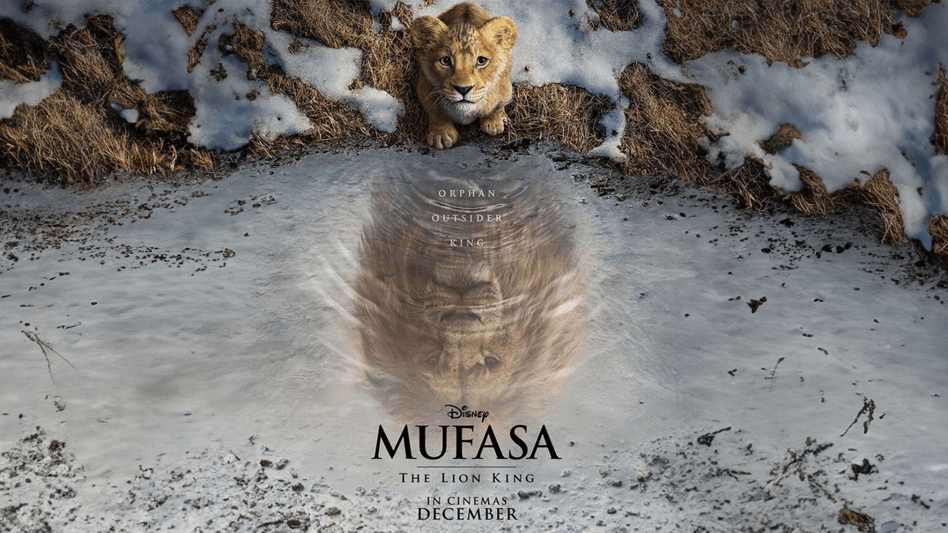 A Cinematic Triumph: A Review of the Musafa Movie